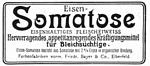 Eisen-Somatose 1904 611.jpg